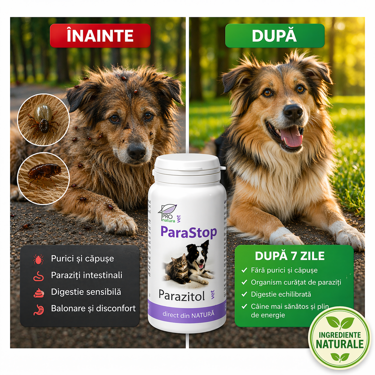ParaStop - 50 Tablete antiparazitare naturale pentru câini și pisici