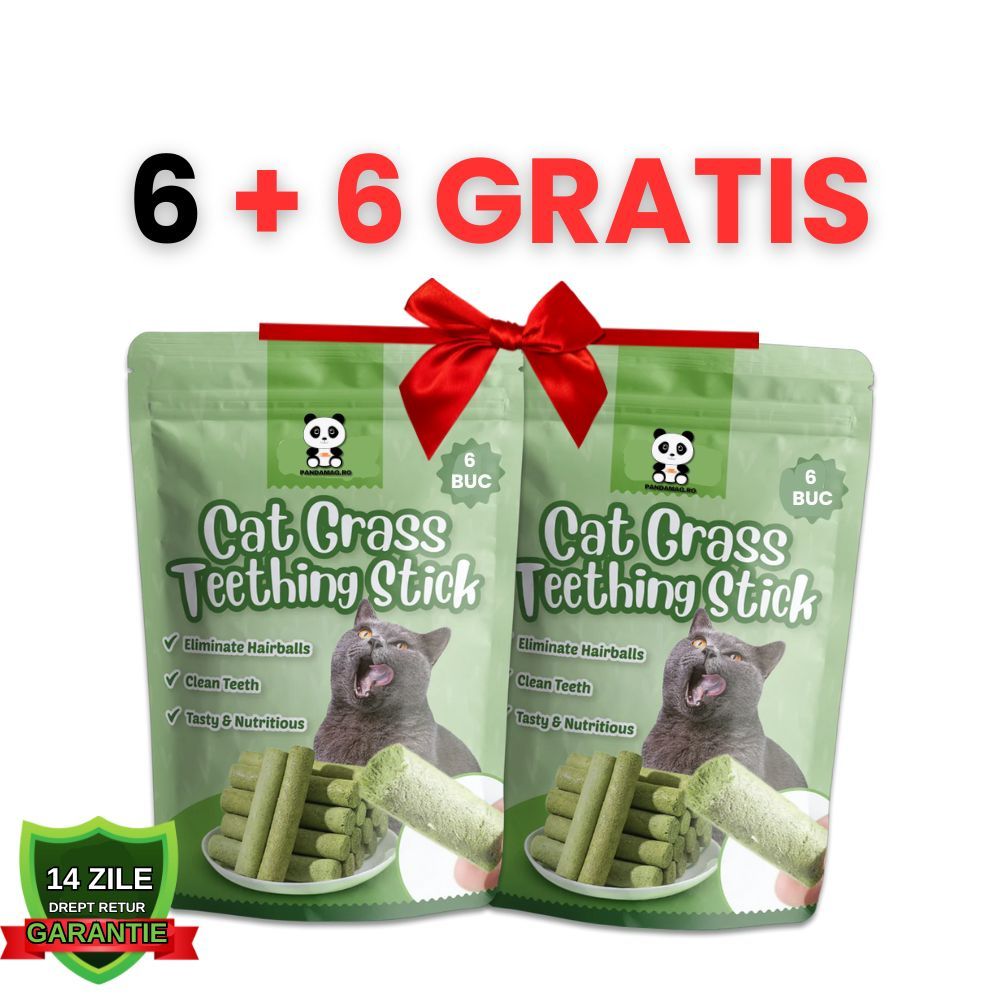 Betisoare Dentare Nutritive cu Iarba Pisicii si Pui