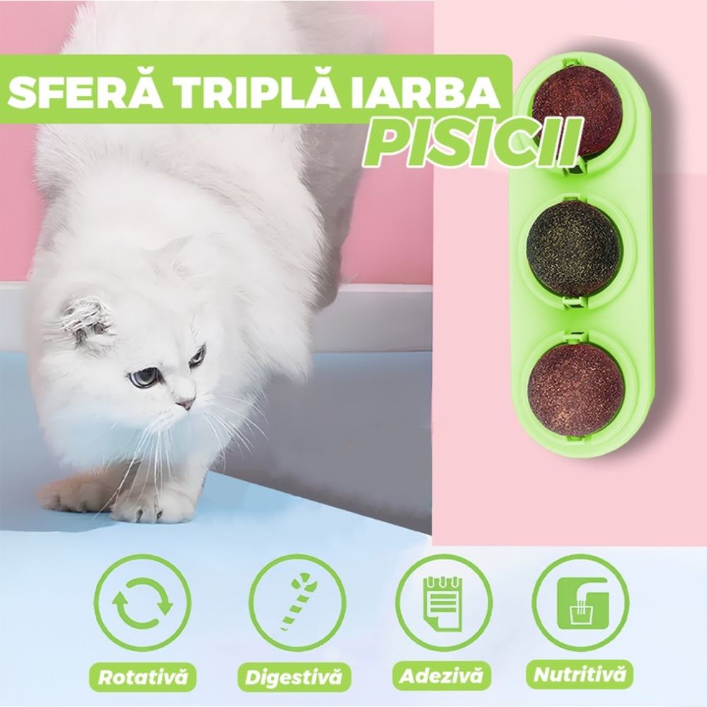 SpinMiau Jucarie cu Iarba Matei