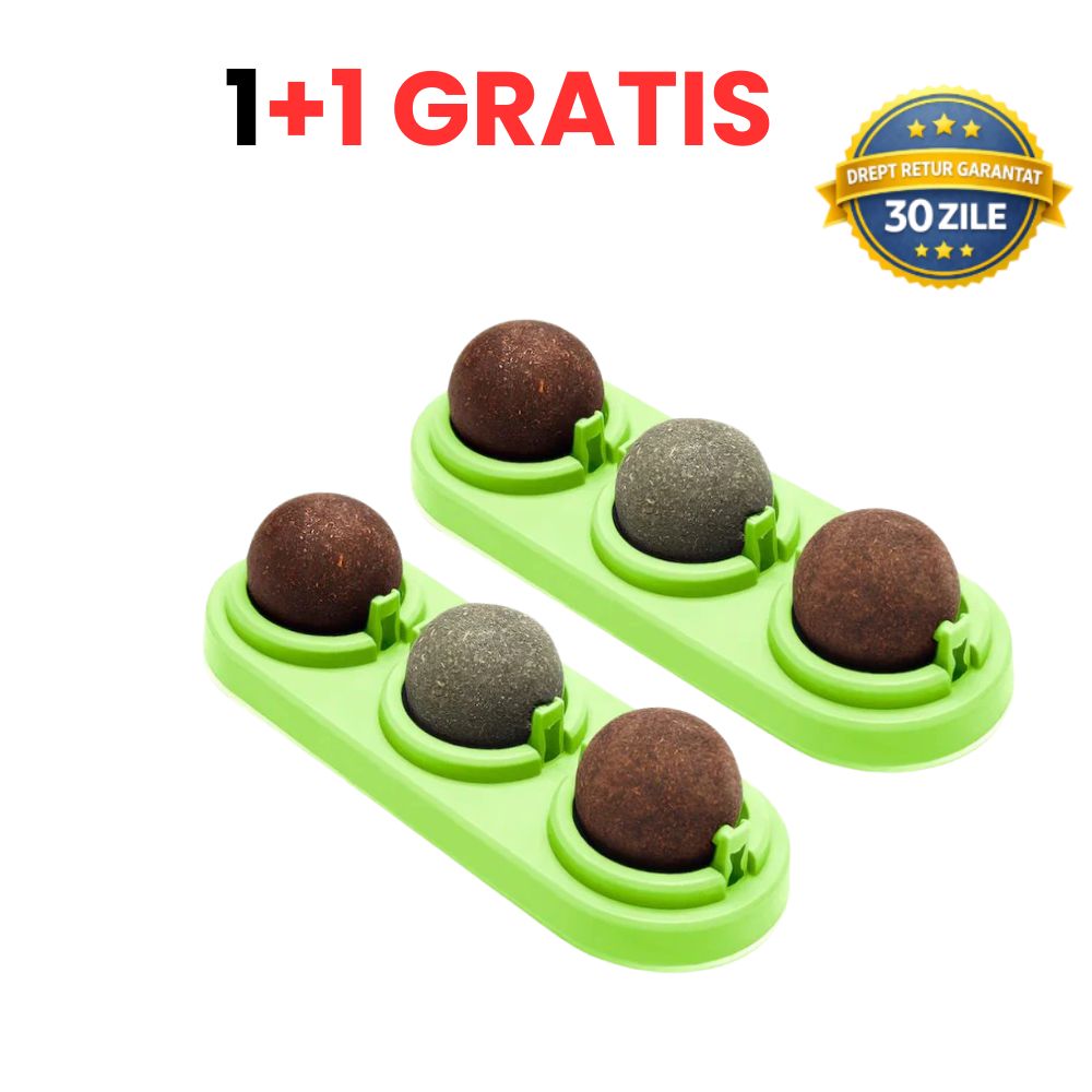 SpinMiau Jucarie cu Iarba Matei