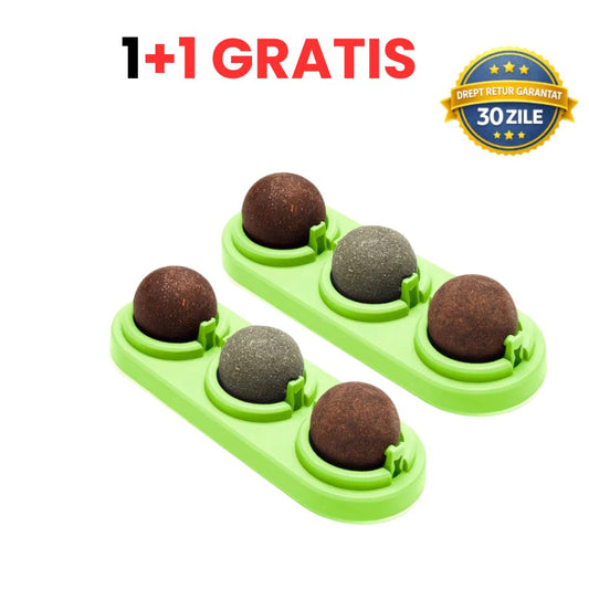 SpinMiau Jucarie cu Iarba Matei