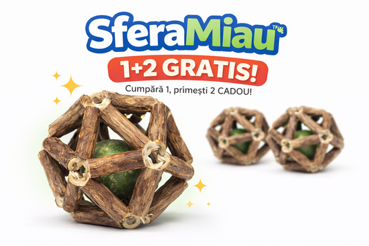 SferaMiau™ – Jucărie Interactivă Naturală pentru Pisici