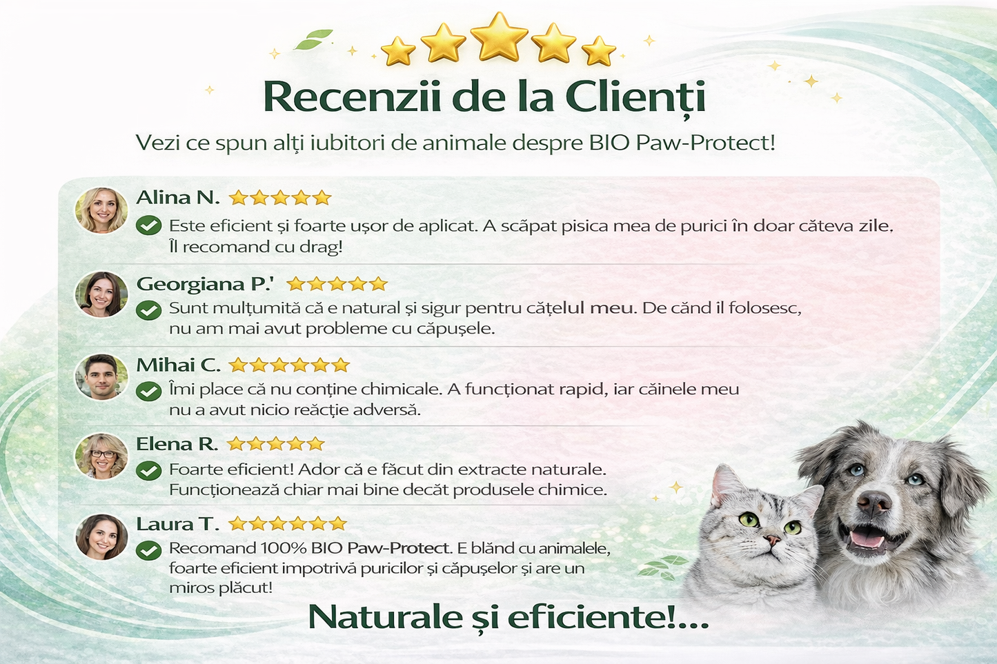 Picături Anti-Purici și Căpușe pentru Câini și Pisici | Paw-Protect