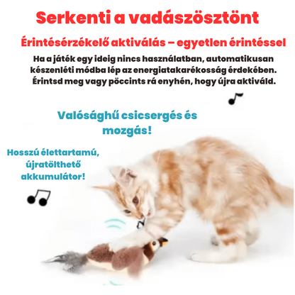 Cipi madár – interaktív macskajáték