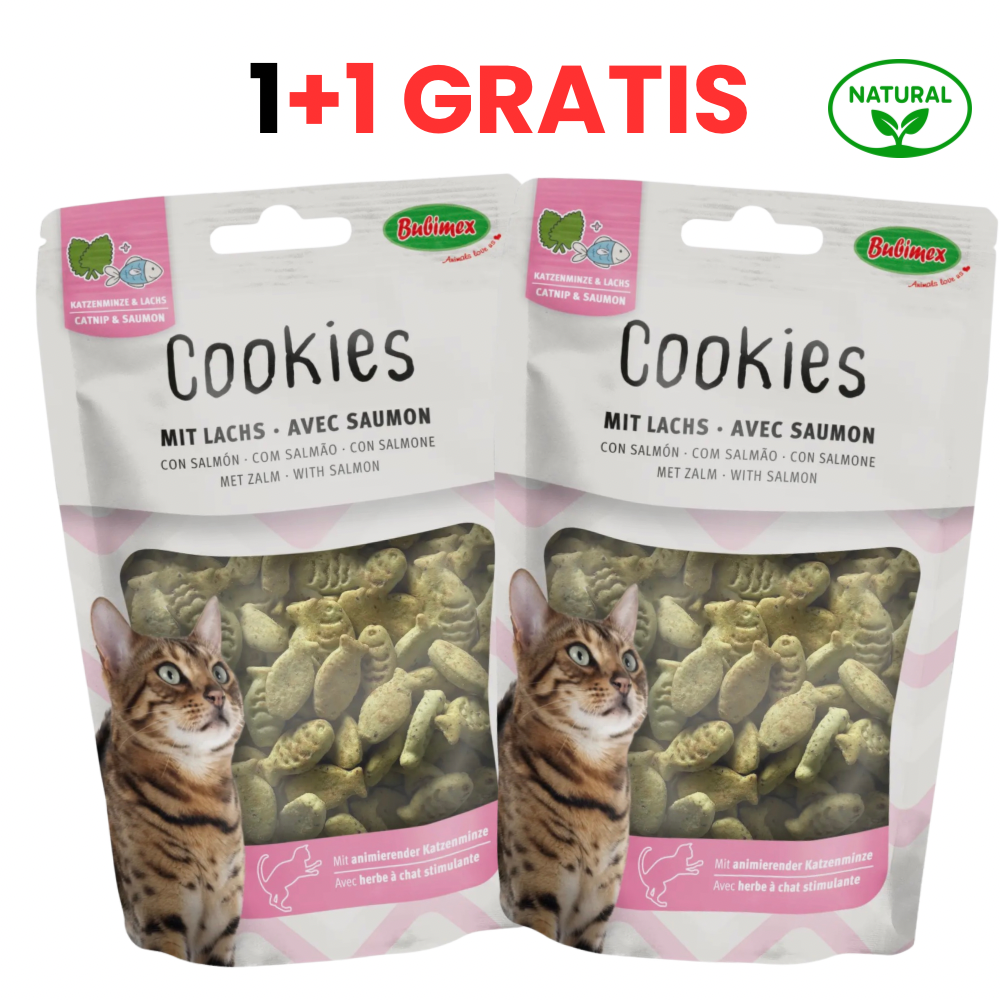 PurrMiau biscuiți cu Somon și Iarba Pisicii Trixie