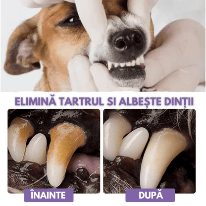 Gel Îngrijire dentară animale DentPlus - Main Store