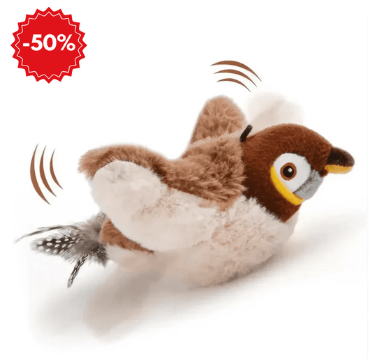 Jucarie interactiva Pasare Rio pentru pisici - Main Store