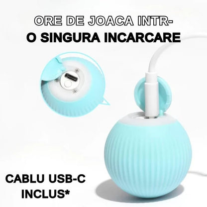 Minge inteligentă interactivă pisici - pandamag.ro